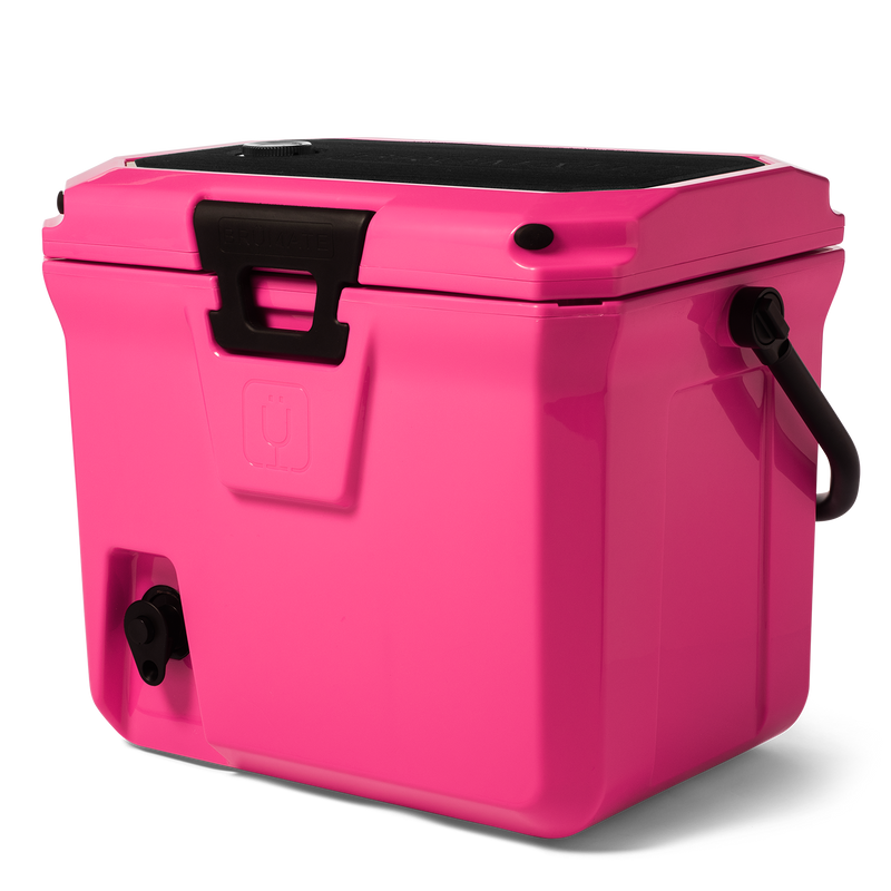 Br Tank 20-Quart Easy-Carry Cooler | Neon Pink
